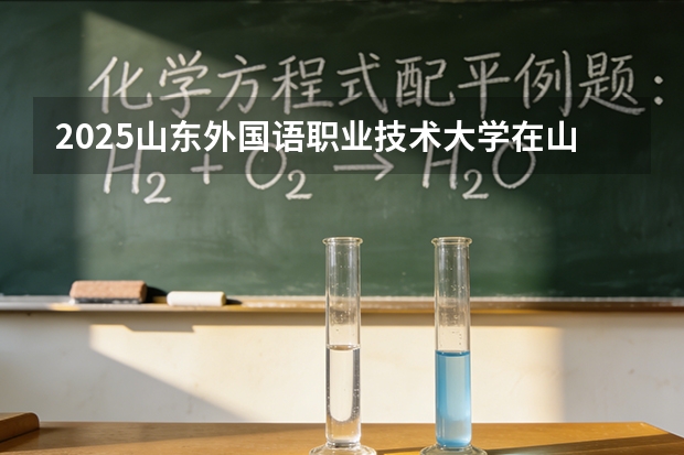 2025山东外国语职业技术大学在山东艺术类投档分数线（2026年参考）