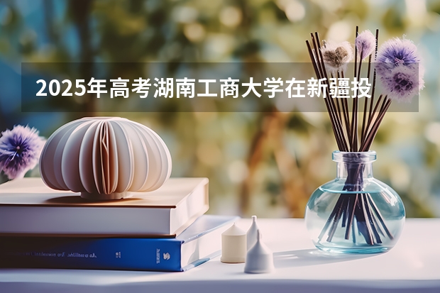 2025年高考湖南工商大学在新疆投档分数线（2026参考）