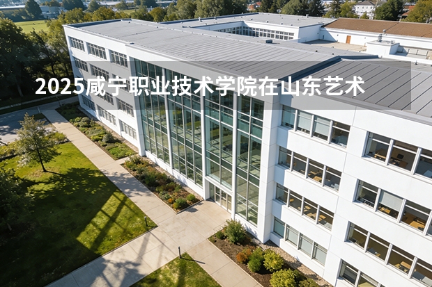 2025咸宁职业技术学院在山东艺术类投档分数线（2026年参考）