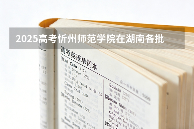 2025高考忻州师范学院在湖南各批次选科要求介绍（2026参考） 