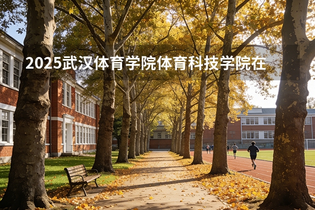 2025武汉体育学院体育科技学院在河北艺术类投档分数线（2026年参考）