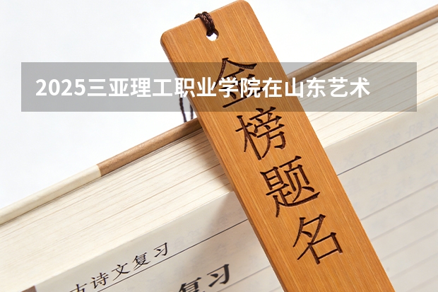 2025三亚理工职业学院在山东艺术类投档分数线（2026年参考）