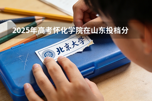 2025年高考怀化学院在山东投档分数线（2026参考）