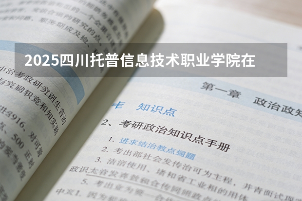 2025四川托普信息技术职业学院在河北艺术类投档分数线（2026年参考）