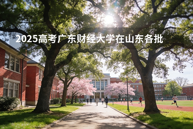 2025高考广东财经大学在山东各批次选科要求介绍（2026参考） 