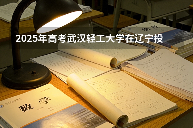 2025年高考武汉轻工大学在辽宁投档分数线（2026参考）