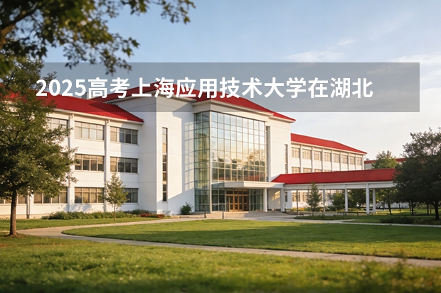 2025高考上海应用技术大学在湖北各批次选科要求介绍（2026参考） 