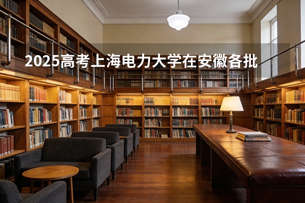 2025高考上海电力大学在安徽各批次选科要求介绍（2026参考） 