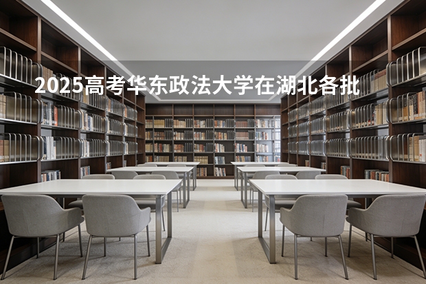2025高考华东政法大学在湖北各批次选科要求介绍（2026参考） 
