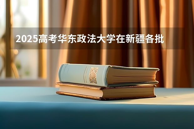 2025高考华东政法大学在新疆各批次选科要求介绍（2026参考） 