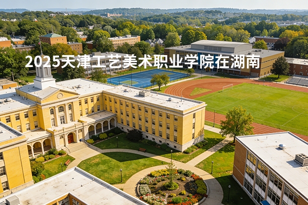 2025天津工艺美术职业学院在湖南艺术类投档分数线（2026年参考）