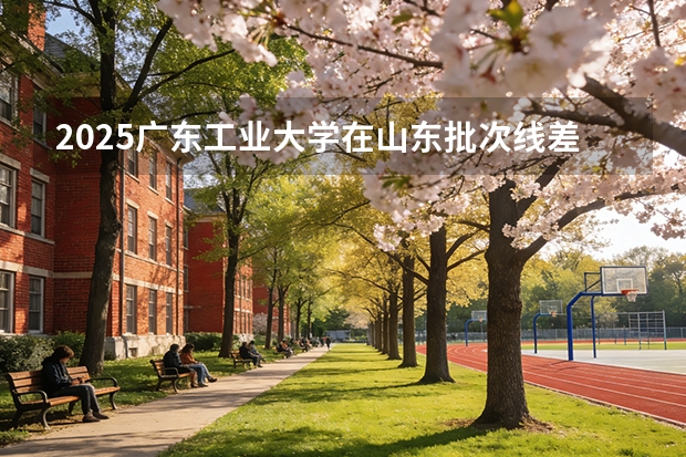 2025广东工业大学在山东批次线差