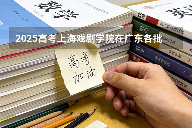 2025高考上海戏剧学院在广东各批次选科要求介绍（2026参考） 