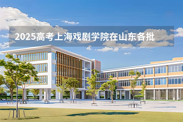 2025高考上海戏剧学院在山东各批次选科要求介绍（2026参考） 