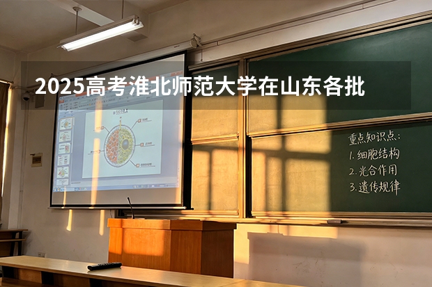 2025高考淮北师范大学在山东各批次选科要求介绍（2026参考） 