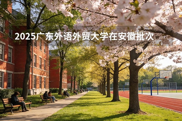 2025广东外语外贸大学在安徽批次线差