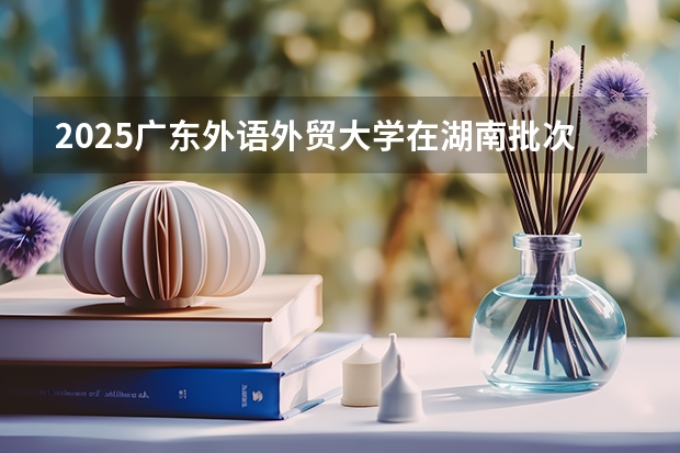 2025广东外语外贸大学在湖南批次线差