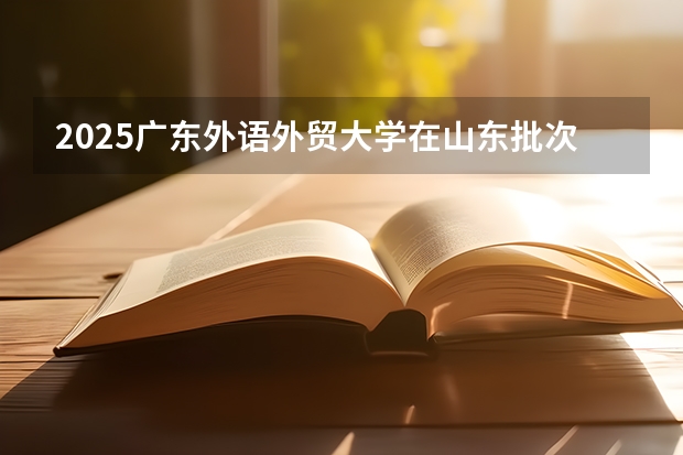 2025广东外语外贸大学在山东批次线差