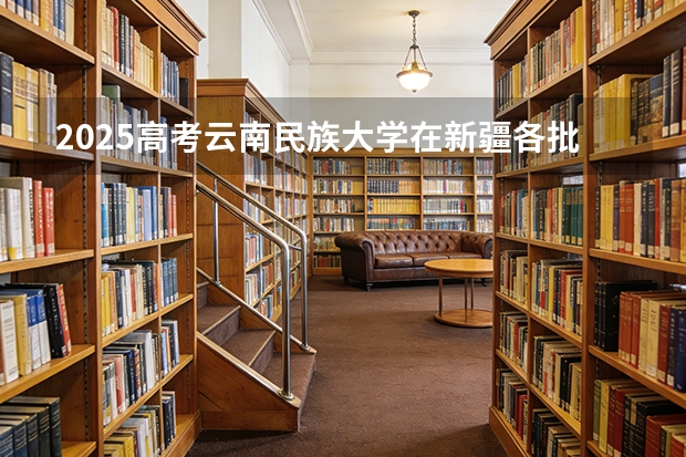 2025高考云南民族大学在新疆各批次选科要求介绍（2026参考） 