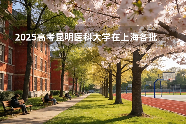 2025高考昆明医科大学在上海各批次选科要求介绍（2026参考） 