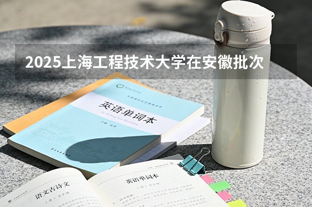 2025上海工程技术大学在安徽批次线差