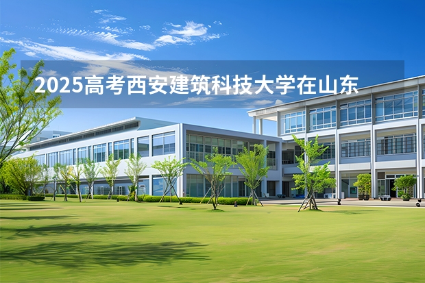 2025高考西安建筑科技大学在山东各批次选科要求介绍（2026参考） 