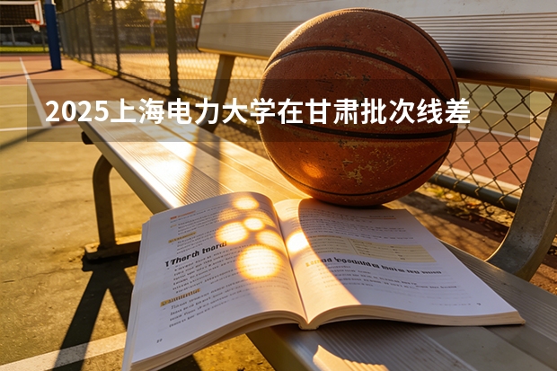 2025上海电力大学在甘肃批次线差