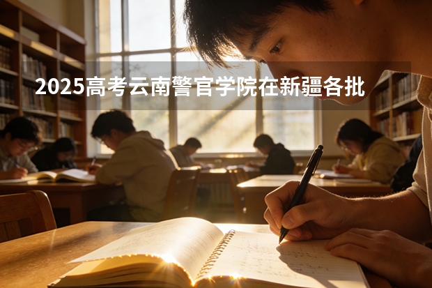 2025高考云南警官学院在新疆各批次选科要求介绍（2026参考） 