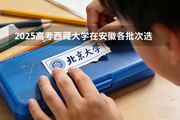 2025高考西藏大学在安徽各批次选科要求介绍（2026参考） 