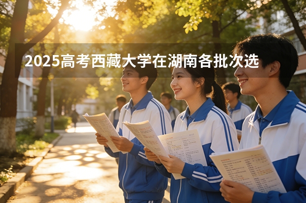 2025高考西藏大学在湖南各批次选科要求介绍（2026参考） 