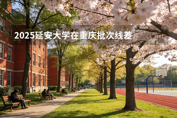 2025延安大学在重庆批次线差
