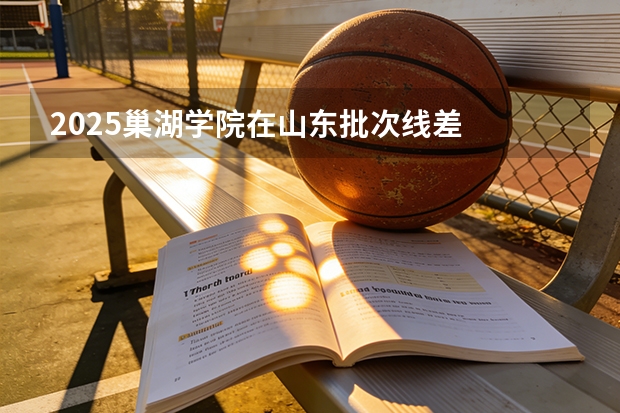 2025巢湖学院在山东批次线差