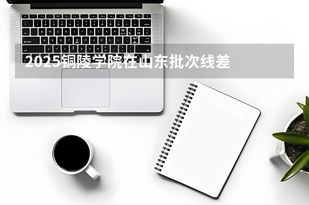 2025铜陵学院在山东批次线差
