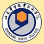 山东华宇工学院LOGO
